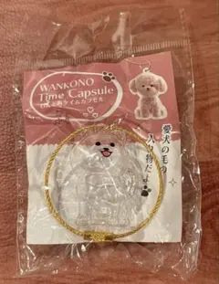 わんこのタイムカプセル ラテ