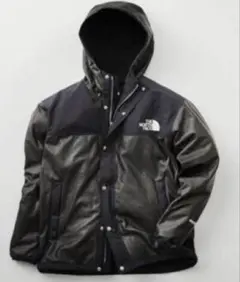 Item thumbnail for item 79fa2a3e-479f-47e6-ac5a-cb2ff0c3ef68