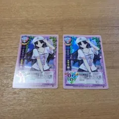 旧リセ Lycee 遠坂凛 Fate/stay night TYPE-MOON - メルカリ