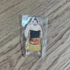 大相撲 アクリルスタンド　嘉陽
