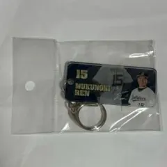 Item thumbnail for item d4b9122b-4eb1-4829-8cff-f385a9f2aec5