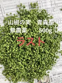 送料込み！青森県産 実山椒 ☆採れたて 300g+増量中 ☆値引き可 - メルカリ