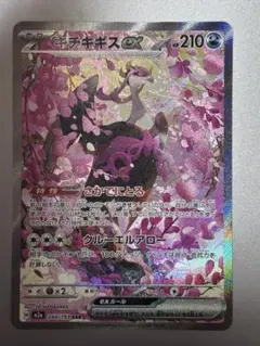 ぽんずの人様 リクエスト 2点 まとめ商品