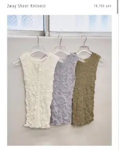 todayful 2way Sheer Knitvestのサムネイル