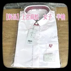 Item thumbnail for item 519286f8-bba9-47a7-993d-0f62fef62606