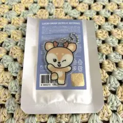 SEVENTEEN　MINITEEN ジョシュア　アクキー　ミニティーン