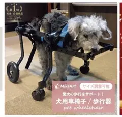 Item thumbnail for item 5b2641d3-9cb9-4e5d-b85e-ad9c71da2936