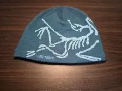 ARC'TERYX スケルトンデザイン ビーニー - メルカリ