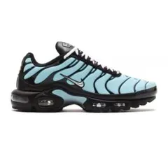 Nike Air Max Plus マップラ 水色