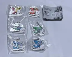 ポケモン 30周年メタルチャームマスコット　セット　めじるしチャーム