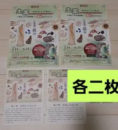 ✳️限定品✳️千葉県立中央博物館 薬屋のひとりごと しおり 猫猫 壬氏