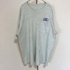 ヴィンテージ✨EAA 航空協会 刺繍ロゴ ポケットTシャツ グレー 2XL相当