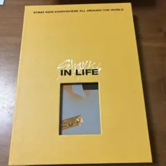 straykids スキズ IN生 アルバム 黄色