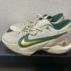 ナイキNIKE ズームフリーク2 29.5cm