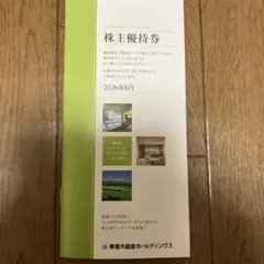 東急不動産ＨＤ株主優待100 2026年6月のサムネイル