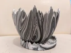 Five Elements Plants Dragon Eggs crack 鉢 F.E.P. (Five Elements Plants)