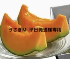 うさぎM 平日発送様専用