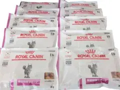 Item thumbnail for item f25e925a-d846-4fe5-81df-23f7b62a5fb6