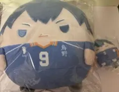 くじメイト ハイキュー!! ぬいくじ ふわコロりん 影山飛雄 C賞E賞