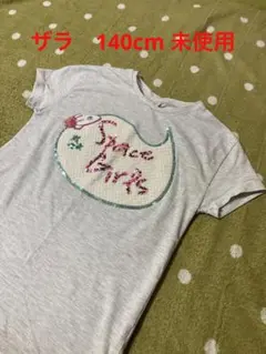 Item thumbnail for item 613ba42d-c41e-452e-8b80-fe0599adbd98