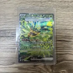 【4/20限定価格】オーガポンみどりのめんex SAR 125/101