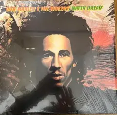 激レア！Moodymann / NMYWAGON Detroit House - メルカリ