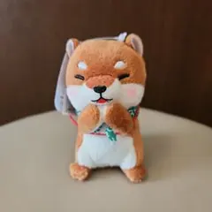 AMUFUN　豆しば三兄弟　みんなでおねだり　VMC