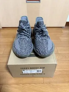 アディダス YEEZY Boost350 V2