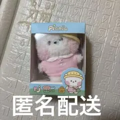BTS JIN BT21 RJ minini マスコット ピクニック