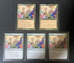 2026年最新】知られざる楽園 mtgの人気アイテム - メルカリ