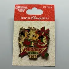 東京ディズニーランド 2015 クリスマスウィッシュ ピンバッジ