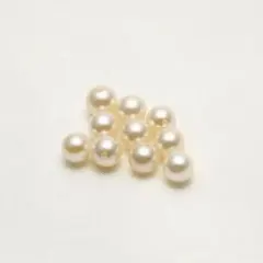 アコヤ真珠両穴