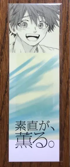 なるプロフ必読様 リクエスト 3点 まとめ商品