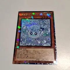 マルチャミー・フワロス　コレクターズレア