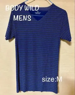 BODY WILD Vネック Tシャツ ブルー系 ボーダー柄