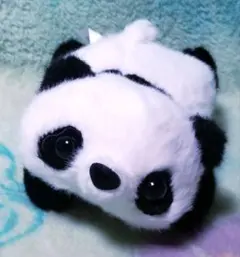 パンダ【ぬいぐるみ】ころんと可愛いパンダ