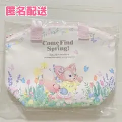 ダッフィーフレンズ カムファインドスプリング スーベニアランチケース 未使用