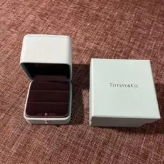 ティファニーTiffany&Co. ダブルリングケース ジュエリーボックス ペア