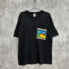 ヴィンテージ バリ島限定 90s 00s 古着 オニール サーフ 半袖tシャツ 