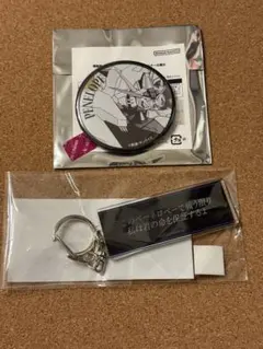 閃光のハサウェイ　名台詞アクリルキーホルダー　レーン　ペーネロペー　缶バッジ