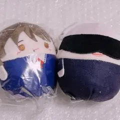 2026年最新】ふわコロりん 五条の人気アイテム - メルカリ