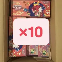 ☆*☆様 ポケモンセンター ヒロシマ スペシャル BOX サプライのみ 10セッ