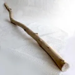 Item thumbnail for item fa7d8622-e0b8-4205-afb0-dde80f83a13b