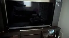 TOSHIBA REGZA M510X 50M510Xジャンク品 2025年最新】REGZA 50M510Xの人気アイテム - メルカリ