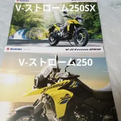 Vストローム250 ABS アンダーカウル Bタイプ（ガンメタ） - メルカリ