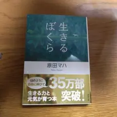 Item thumbnail for item c6e3fb0b-ee31-4acf-91e2-c8fe8f16c191