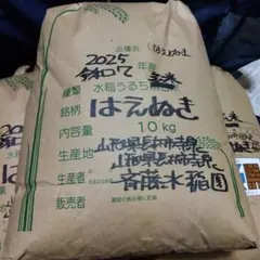 米10kg 山形県産 はえぬき 夢味米2kg5袋入 冬眠密着包装（令和6年産