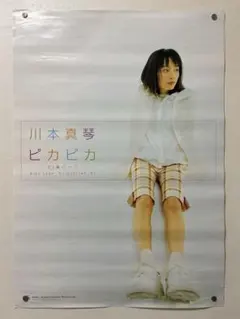 2026年最新】川本真琴ポスターの人気アイテム - メルカリ