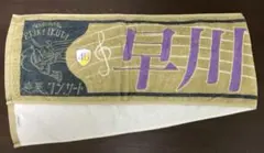 早川聖来 乃木坂46 生田絵梨花 卒業コンサート マフラータオル