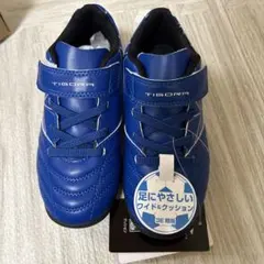 Item thumbnail for item 2d664562-b37f-49c6-8842-ef77f1971278